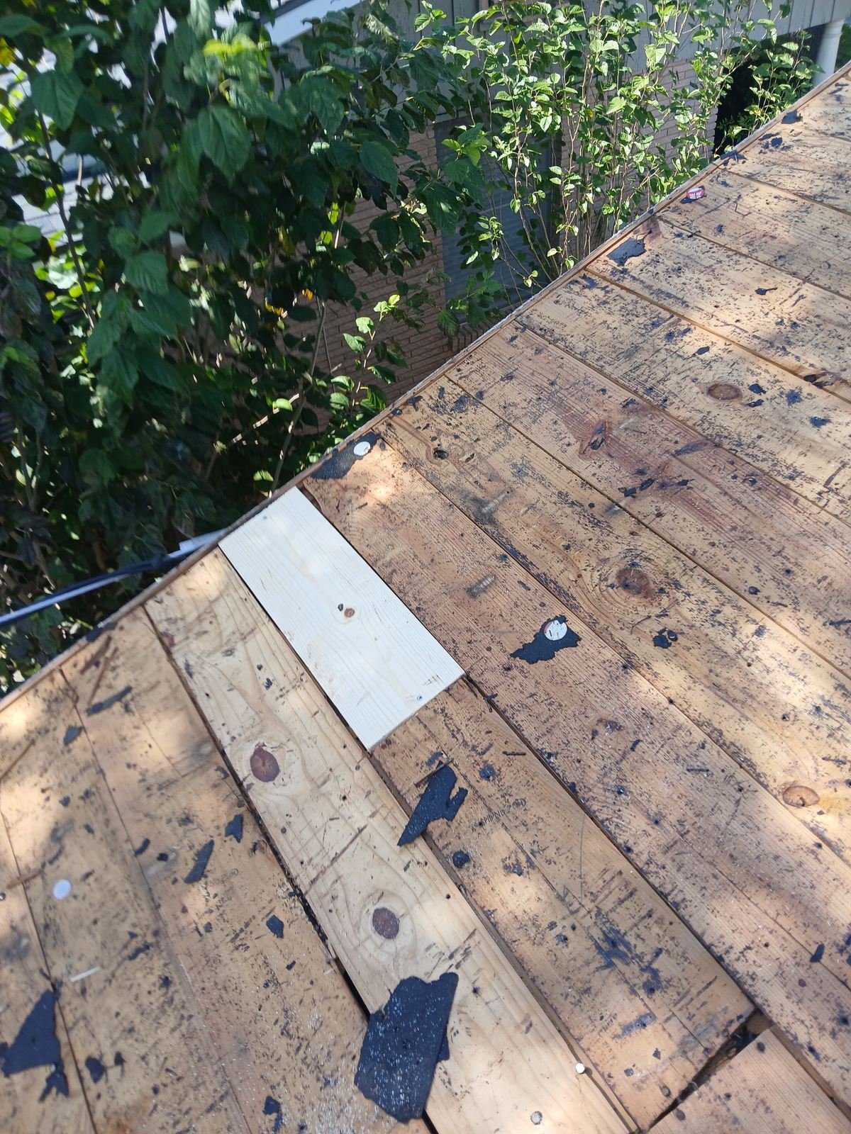 New 1x8 decking board replacing old spaced boards on the roof