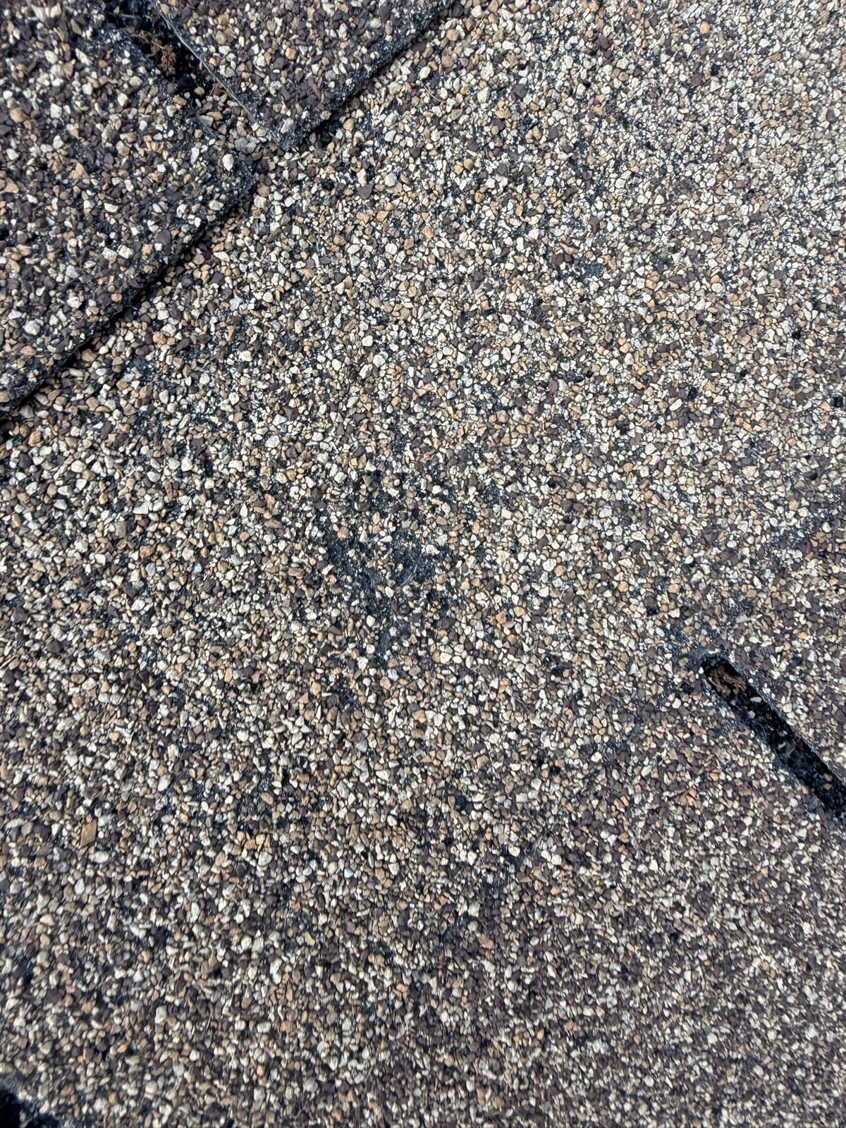 Close-up of granule loss on an asphalt shingle from hail