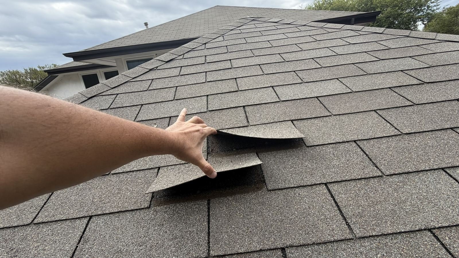 Second wind-creased shingle lifted to show storm damage
